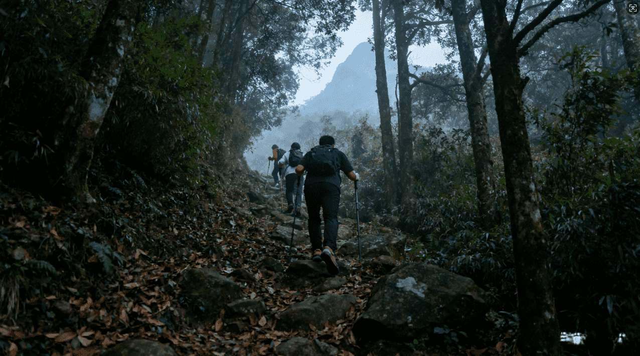 美达加速器VPN是否安全可靠详解
